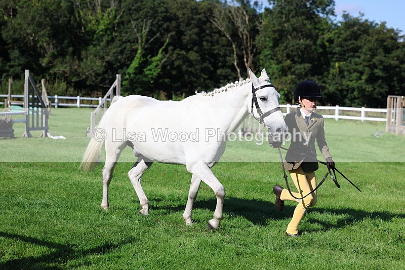 3E7A7696 - Class 1: Novice Working Hunter Pony
