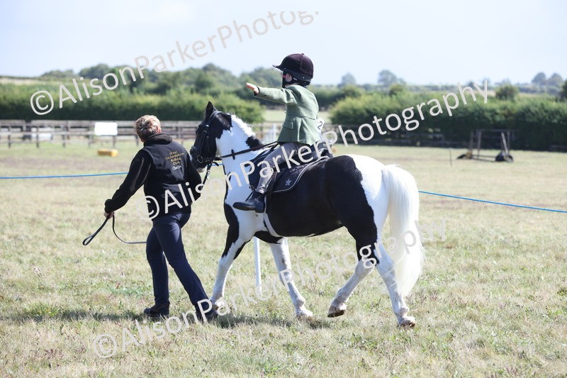 20250831-2501 - Class 16 - Family Pony