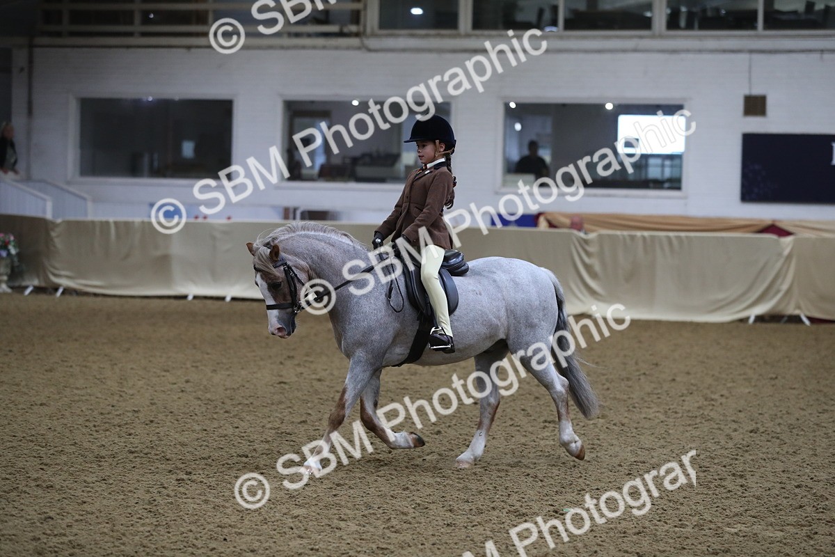 SBM_09295 - Class 101 Equitation (best rider), Junior