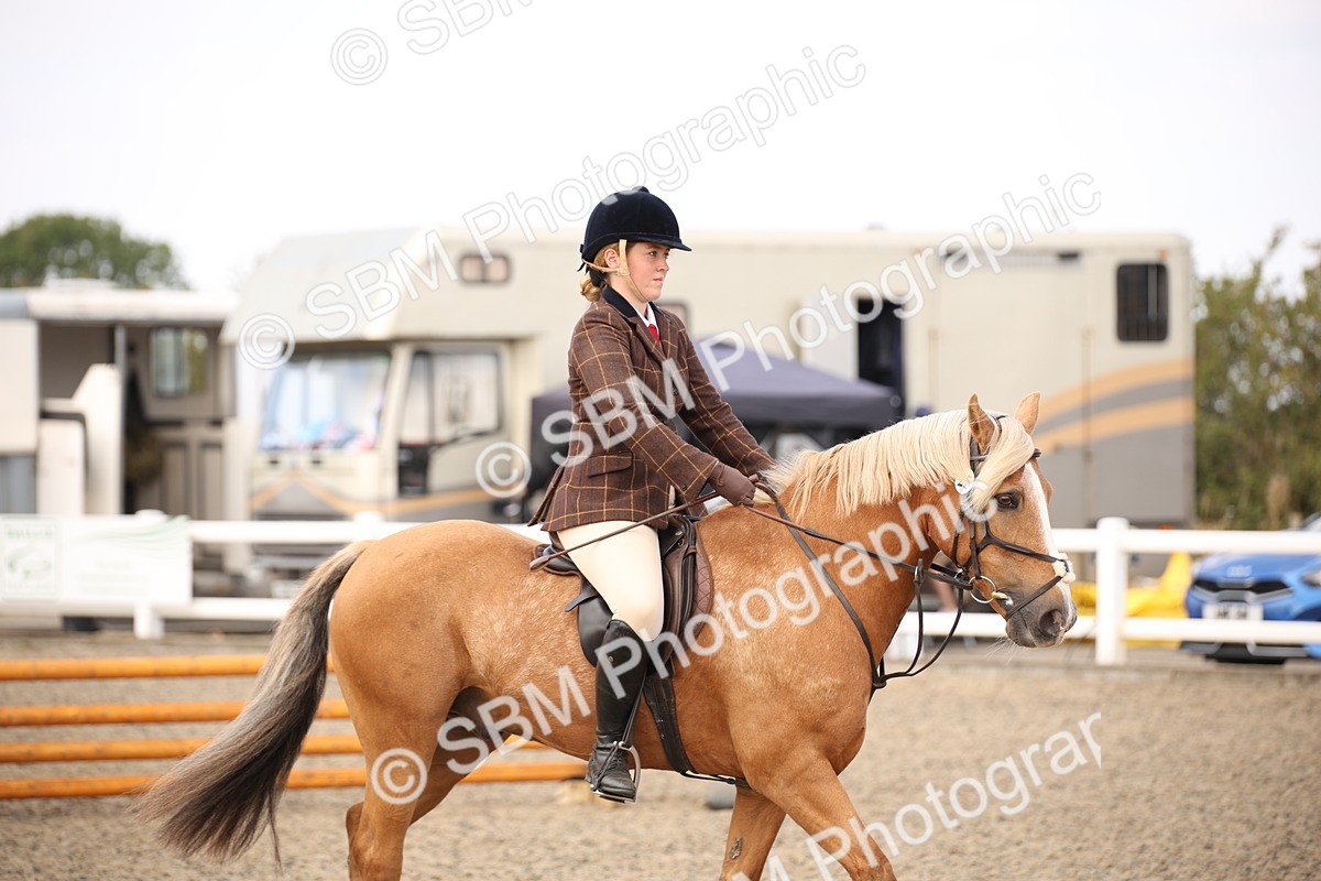 SBM_15988 - Class 408b - Working Veteran 70cm (20+)