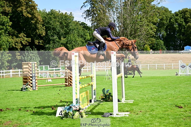 2026-08-21A-DSC_4483 - Cls 2 Snr Foxhunter