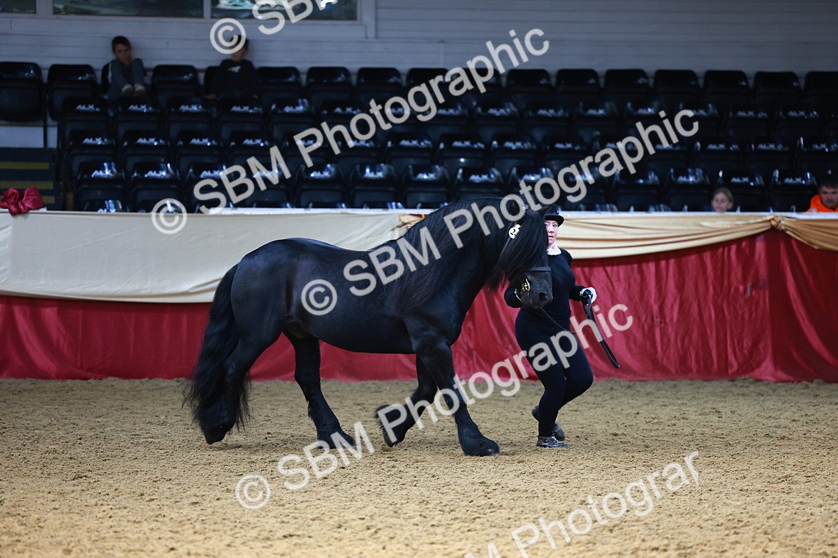 SBM_22307 - Class 902 - Supreme Final - IH Diamond