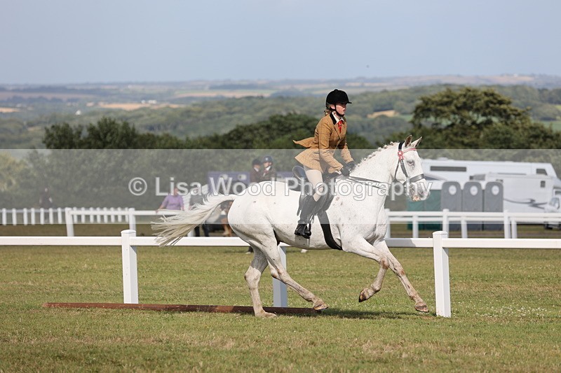 JPP_2919 - Class 20: Working Hunter 70cm