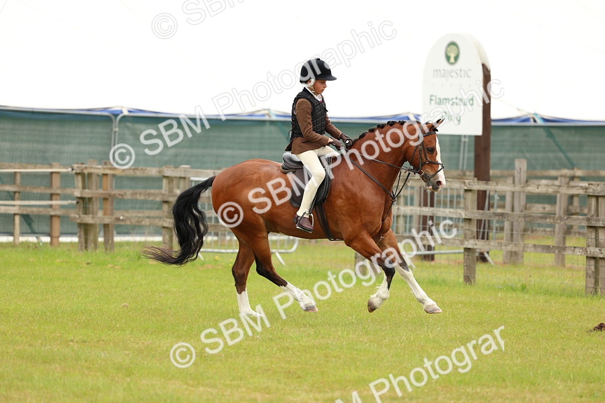 SBM_10230 - Class 44-45 - LIHS BSPS Open Nursery and Cradle Stakes
