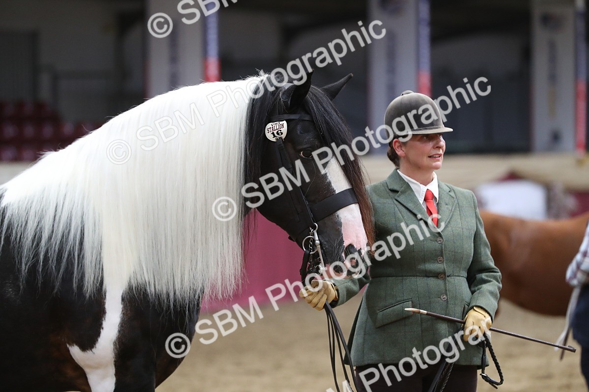 SBM_06425 - Class 9R Regional- IH Pre Vet