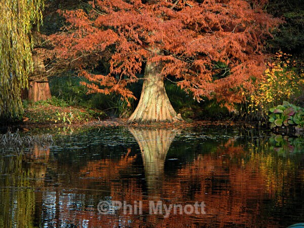 MynottART166 - Photo Mynott ART Images