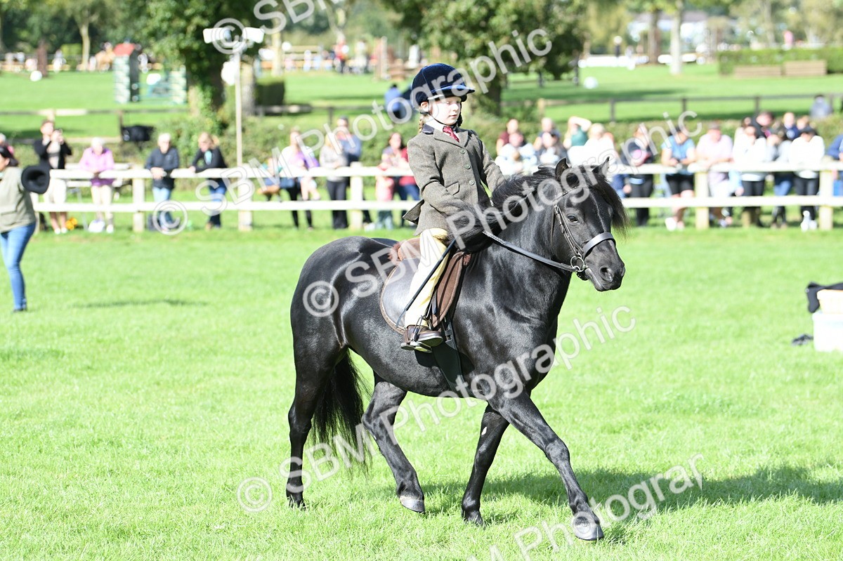 SBM_50281 - S21 - Novice & Newcomers 1st Ridden Pony