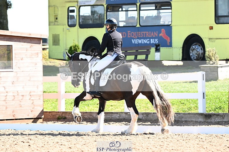 240816A-101901-03808 - 148-Donna.Willis-Cerrighedd.Yago