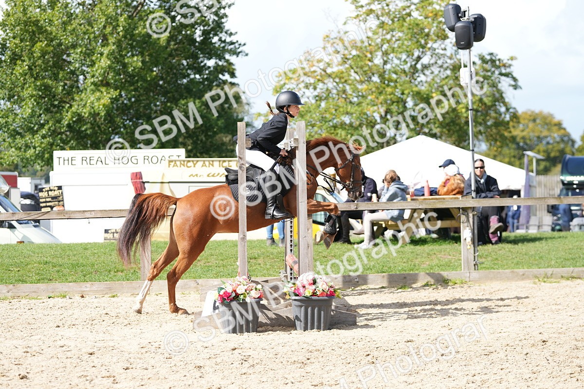SBM_18121 - J58 - Clear Round 50cm