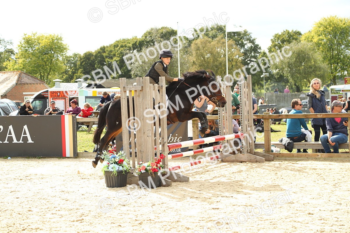 SBM_46593 - J7 - Junior Pony 60cm Championship