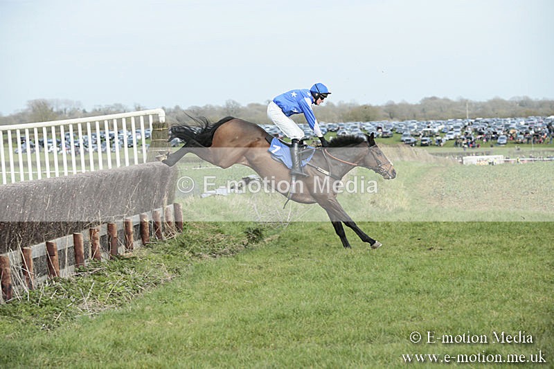 PtP 230319 346 - VWH Hunt Siddington Point-to-Point Racing 23/03/19