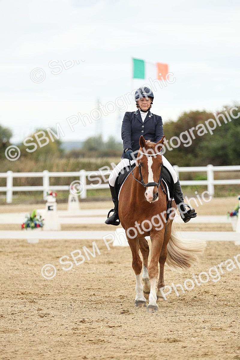 SBM_006633 - Class 21 - Medium 5 Bronze - 9.08-9.48