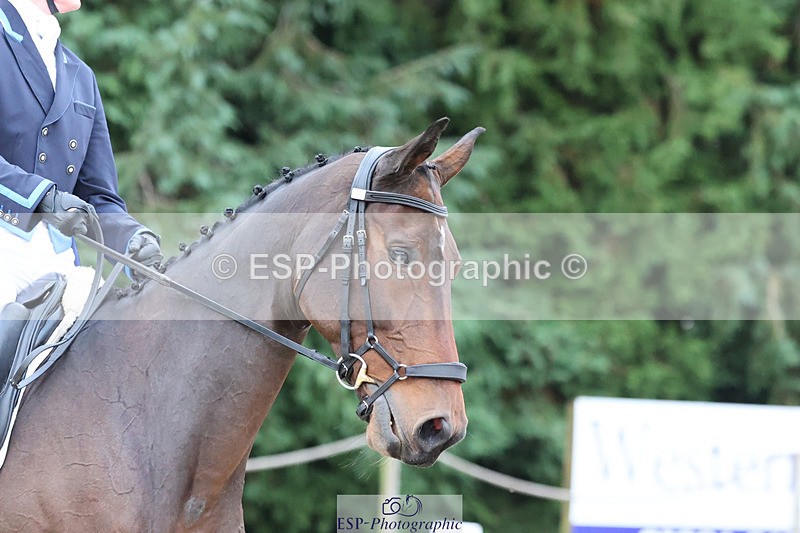 241024-092727-01284 - 205-Alderney.Street-KYTANO