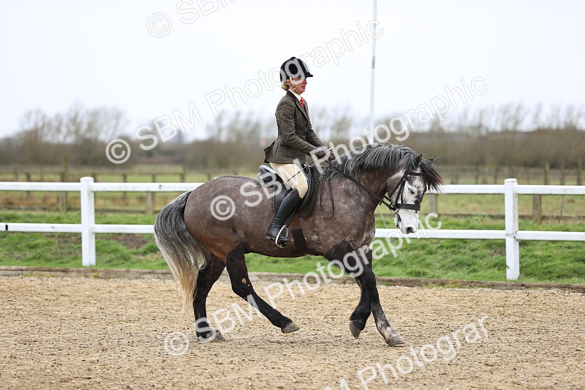 SBM_007522 - Class 31-32 - M&M Confined Novice Small-Large