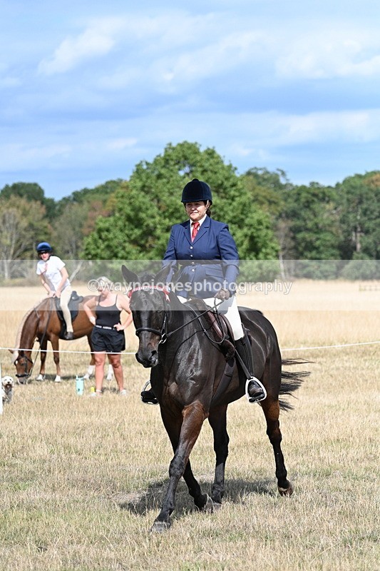 WJ7_6251 - Class 13 Ridden Veterans