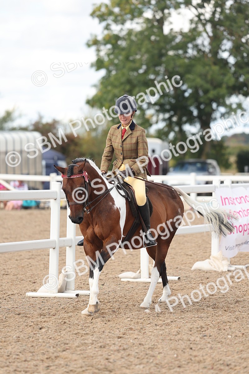 SBM_14663 - Class 307 - Ridden Coloured Pony