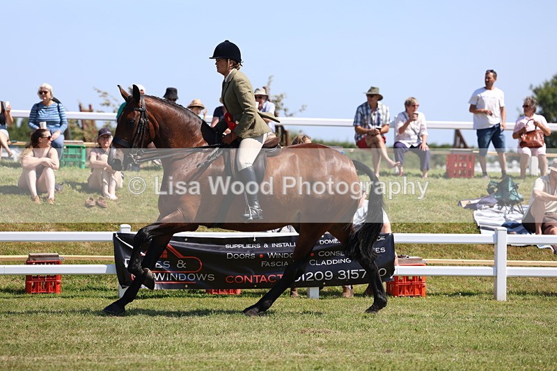 3E7A7547 - Rising Star Ridden Championship