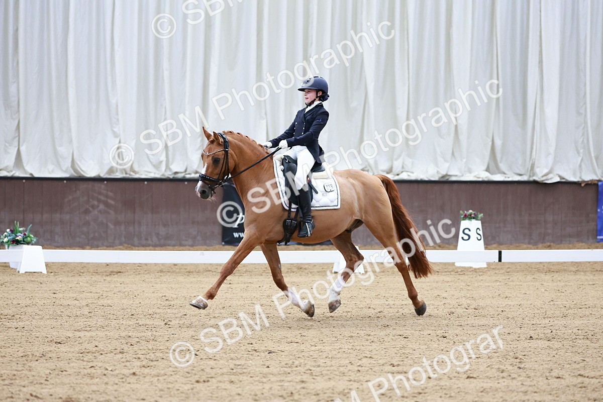 SBM_017074 - Class15 - FEI Pony