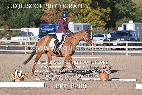 BPP_8208 - SHORT ARENA
