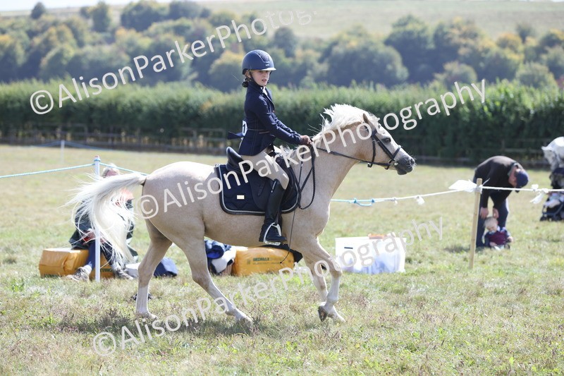 20250831-2837 - Class 18 - Childs First Pony