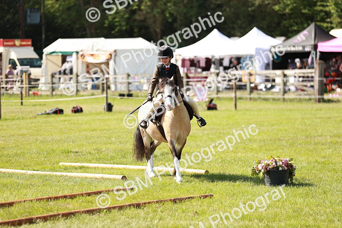 SBM_12694 - Class 106-107 - BSPS LIHS Working Sports Pony