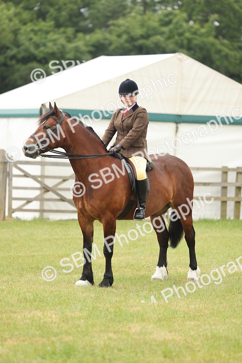 SBM_07271 - Class 76-77 - Ridden M&M Welsh Ponies