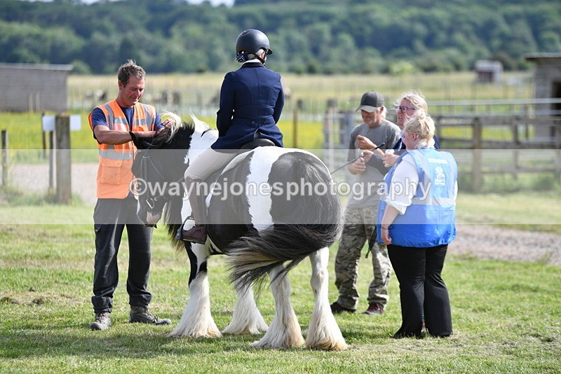 WJ5_7812 - Time 16:40 to 16:55