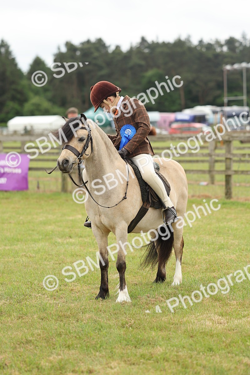 SBM_07146 - Class 76-77 - Ridden M&M Welsh Ponies