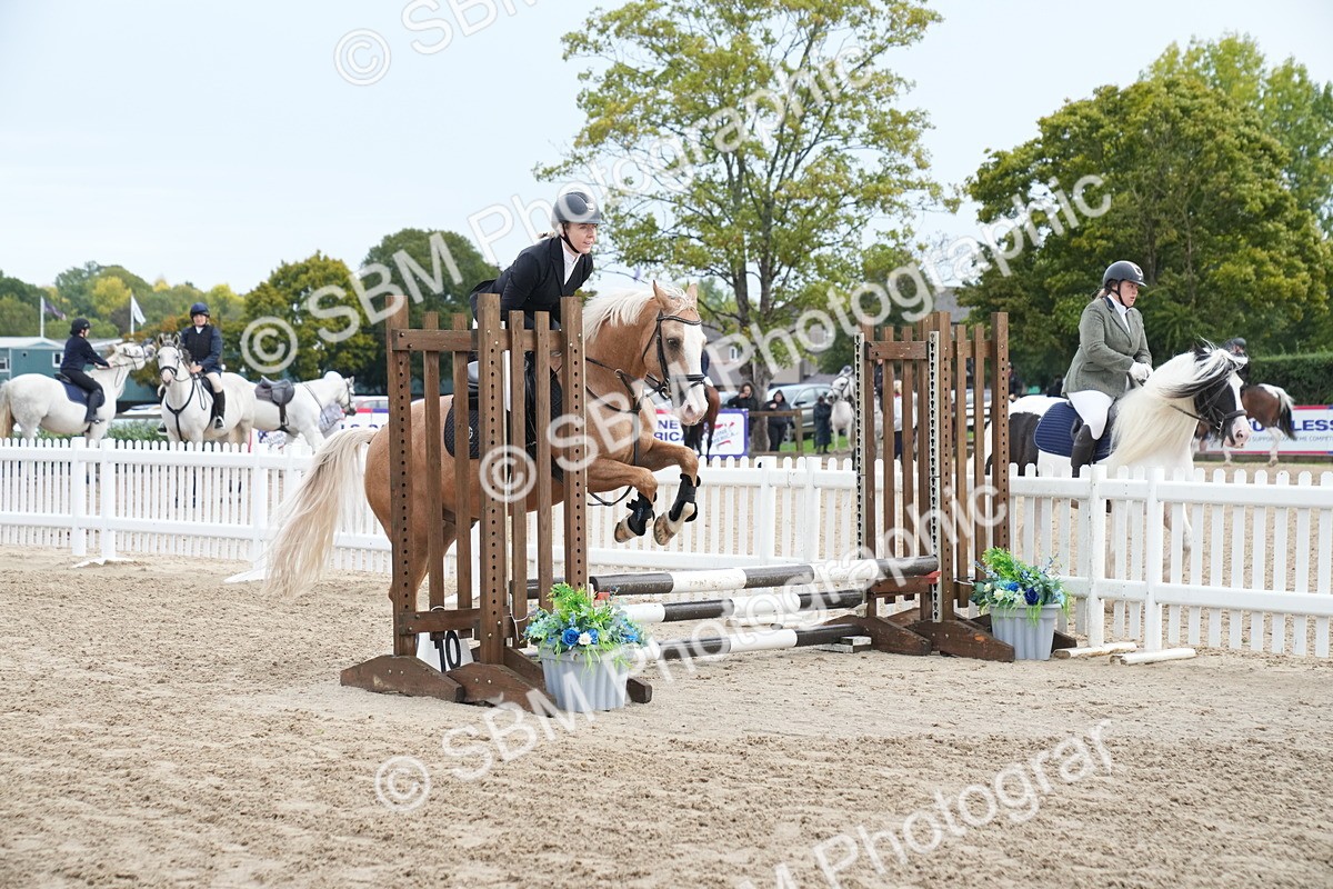 SBM_01412 - J54 - Clear Round 50cm