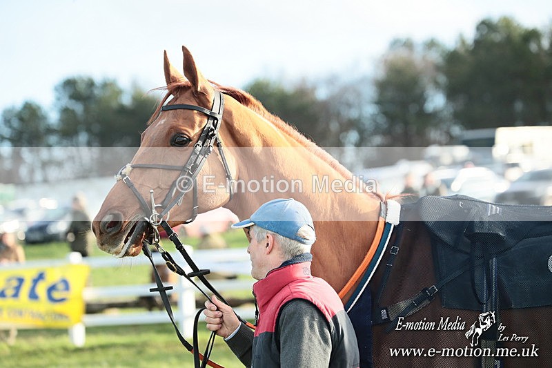 PtP 141225  1971 - New Forest Hounds PtP Larkhill 14/12/25