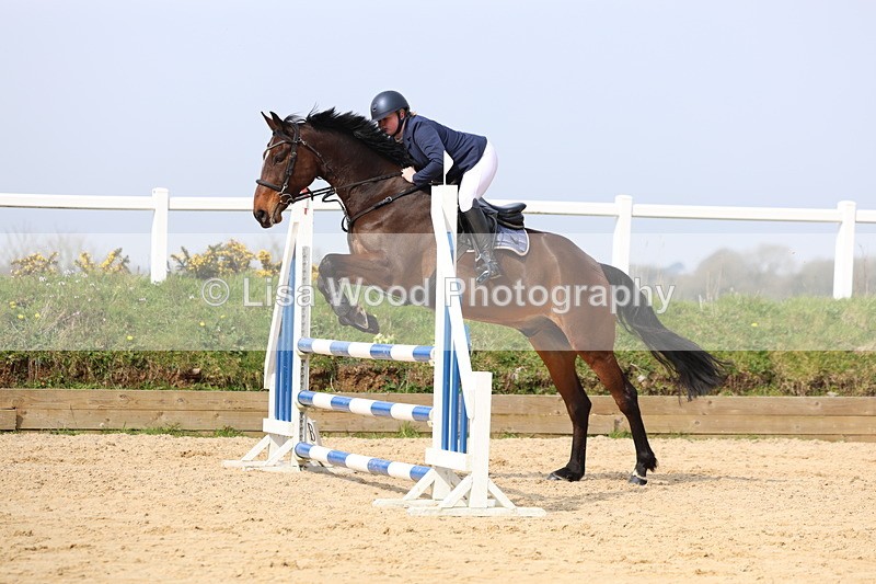 3E7A6892 - Class 4: Senior British Novice/90cm open