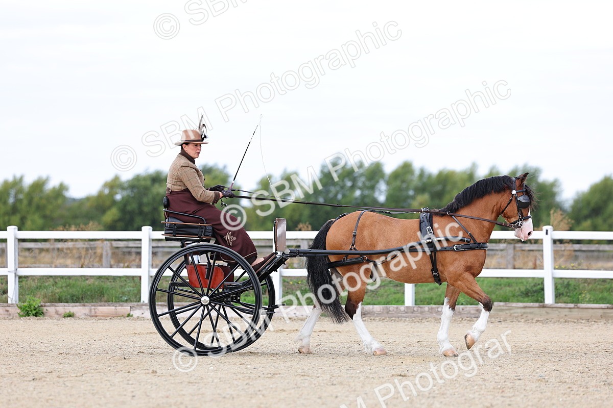 SBM_000242 - Class 2 - Exercise Vehicle 13.2hh & Under