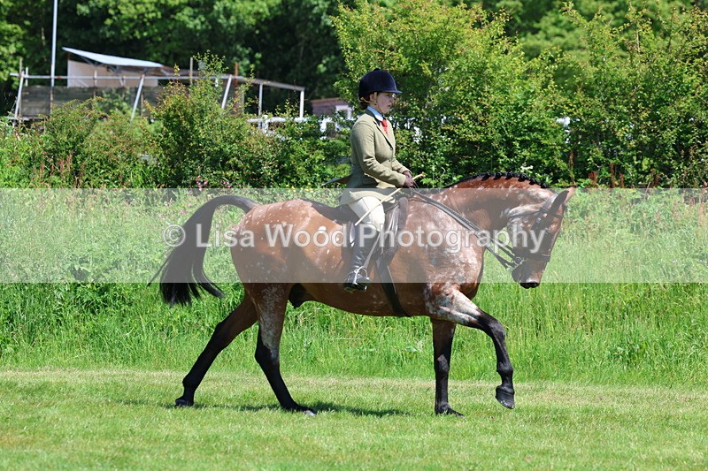 3E7A8250 - Class 13: Ridden Hunter