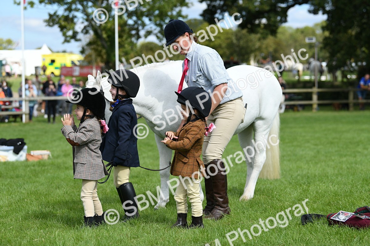 SBM_46805 - S12 - Family Horse & Pony