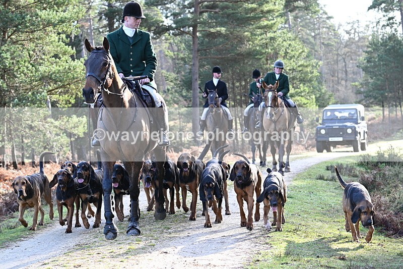 WJ7_7714 - Line 3 (no line 4 or 5)