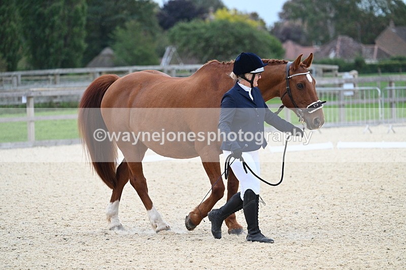 WJ7_1803 - Class 1 & Champs