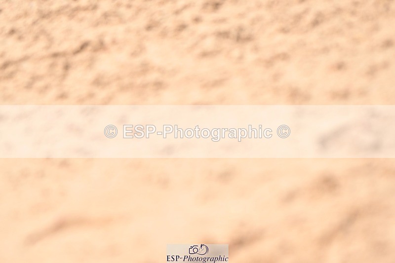 250424-123512-04380 - Cls 21 - 1 Star Gold Tour