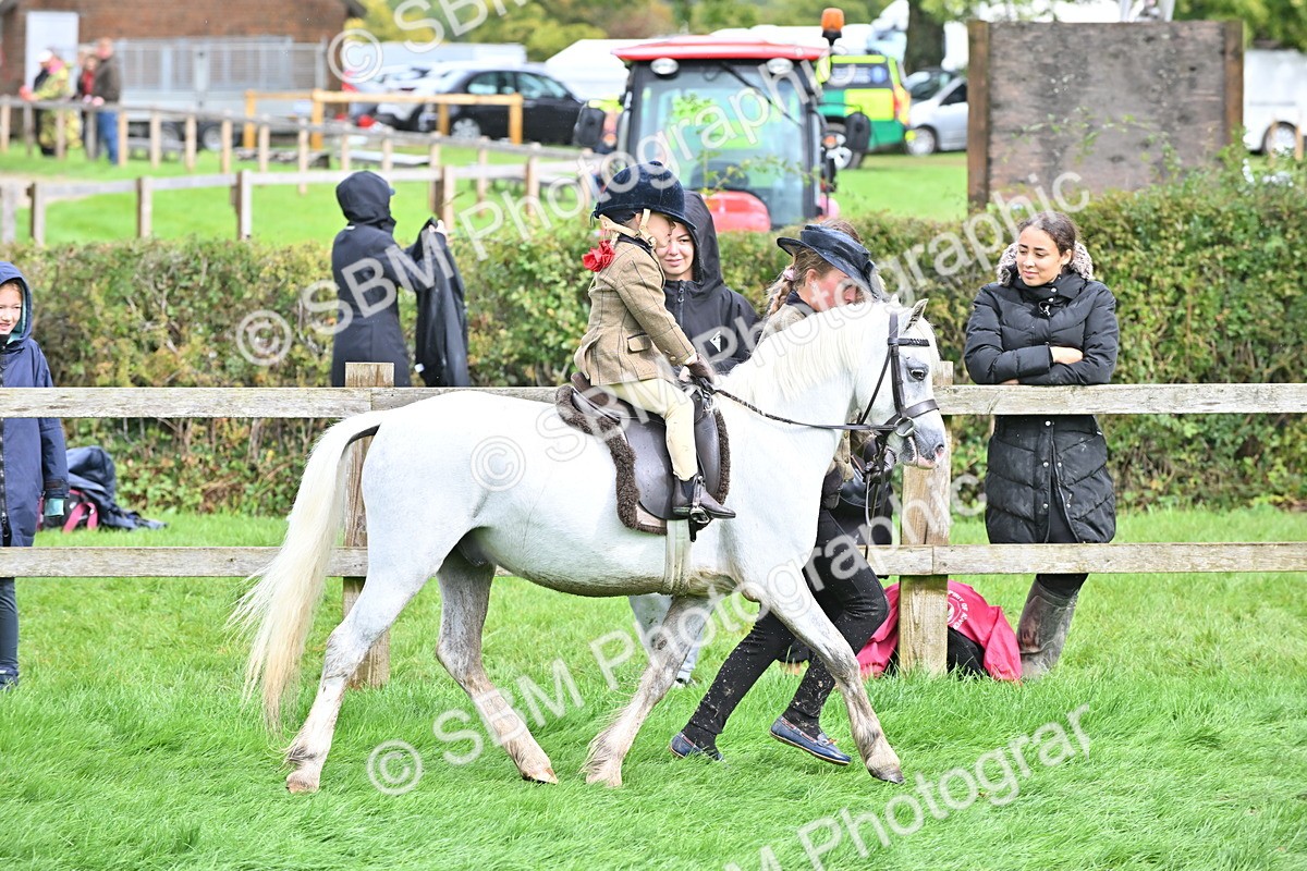 SBM_40136 - S20 - Lead Rein Mountain & Moorland Pony