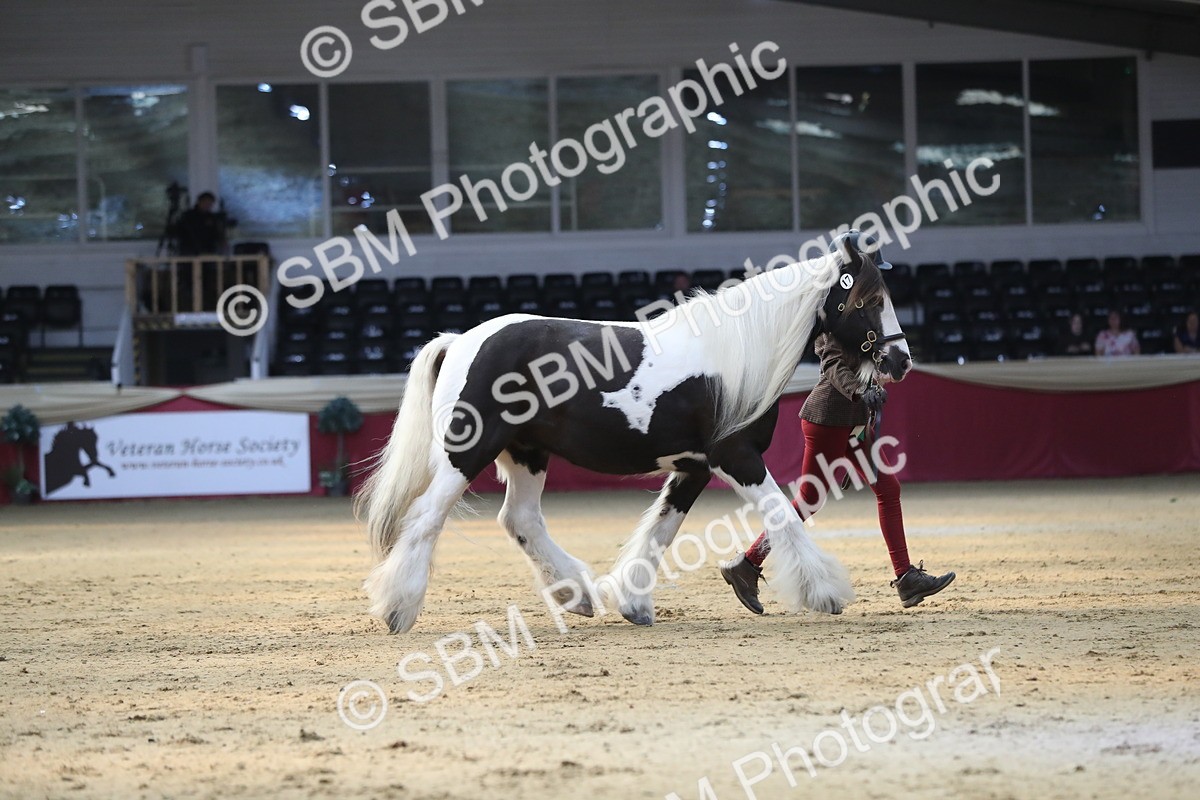 SBM_01411 - Class 3a Area IH Pre Vet