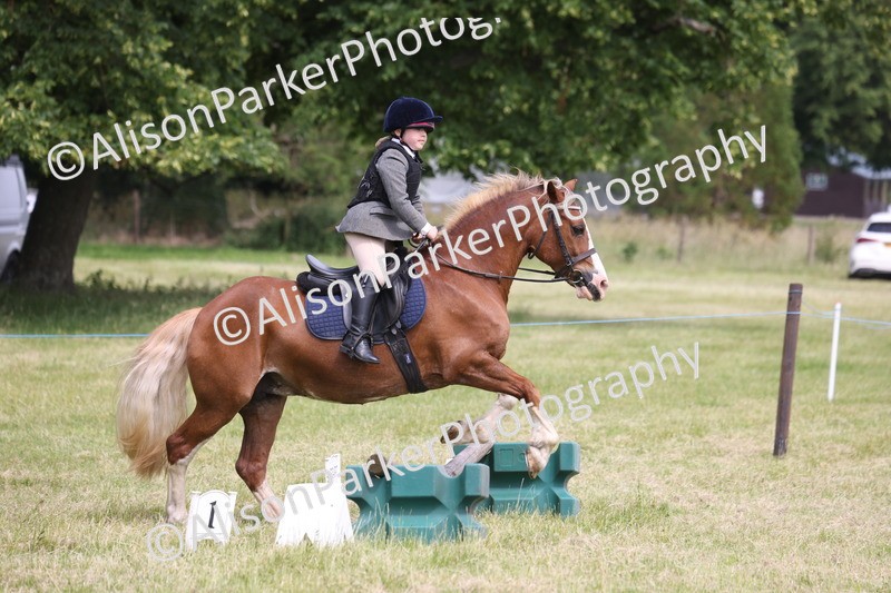 20260614-4062 - Class 24 - Mini and Major Pairs Jumping