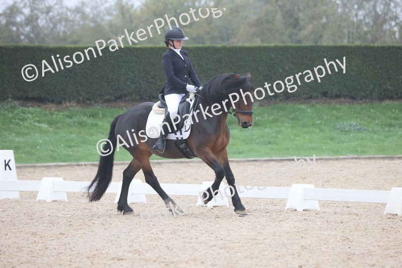 20251012-0432 - Class 3 - Novice 5