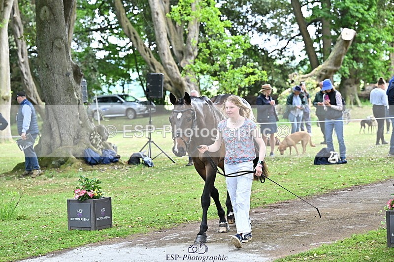 250521A-143423-00091 - A-008-Ada.Marson-IZZIETOP