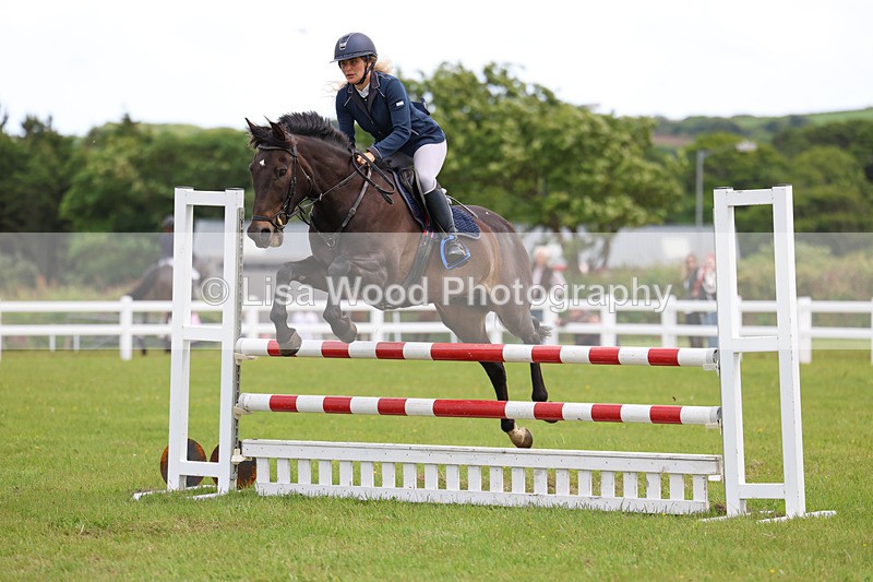3E7A7755 - Class 13: Senior British Novice/90cm open
