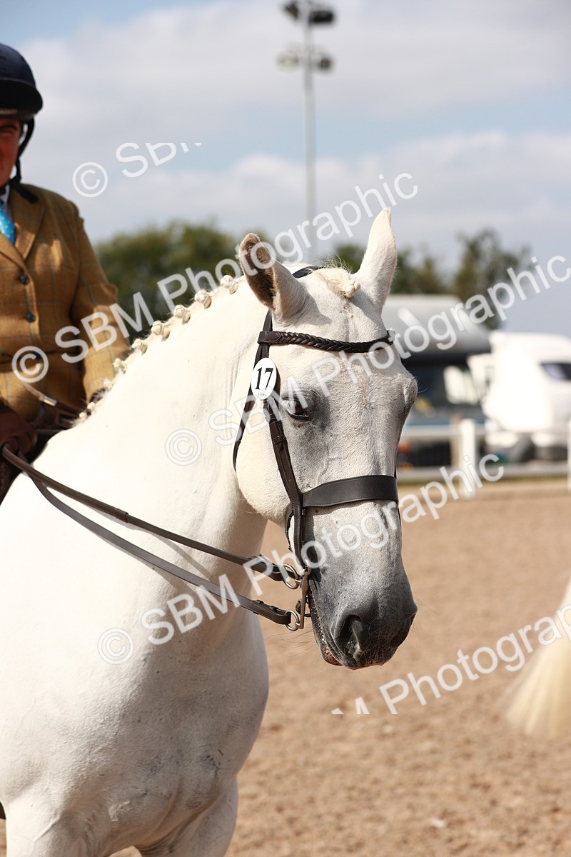SBM_14886 - Class 212 Ridden Hunter - Small