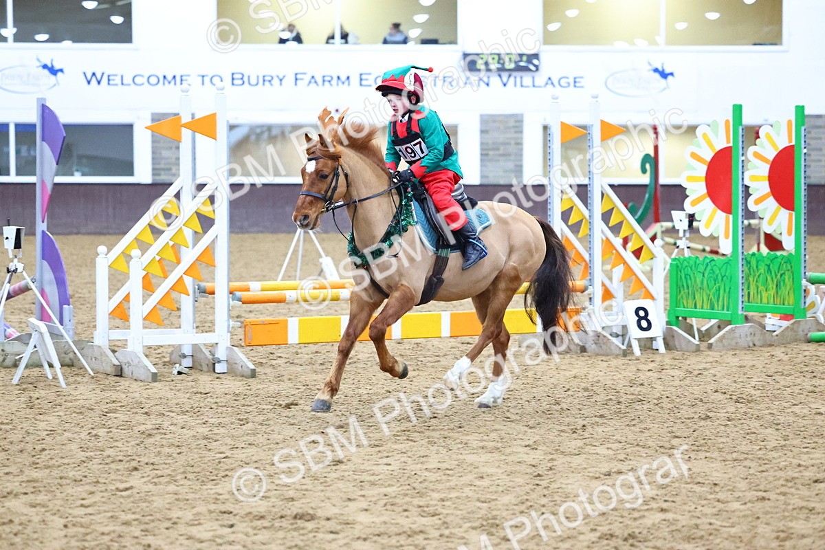 SBM_001363 - Class 3 - Christmas Tree Stakes - 60cm