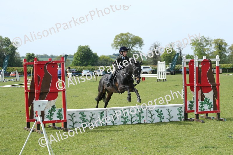 20260426-1760 - Class 14 - Novice 60cm