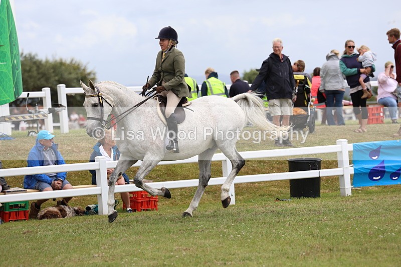 3E7A1025 - Class 8: Open Riding Horse/Hack