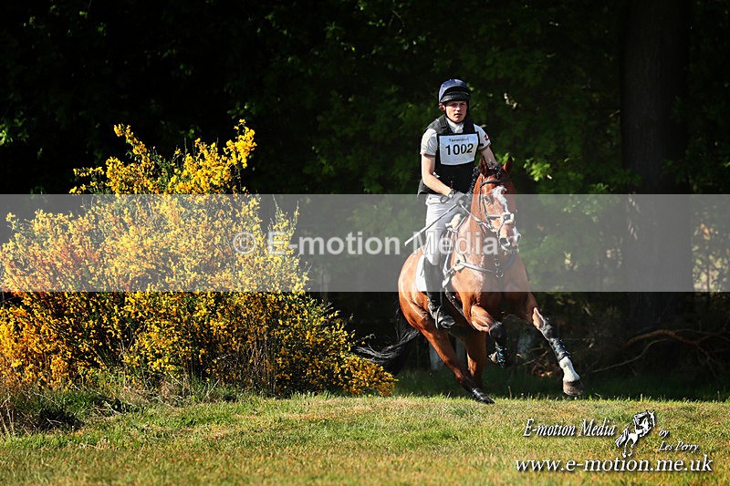 BE 110525  4115a - Equestrian