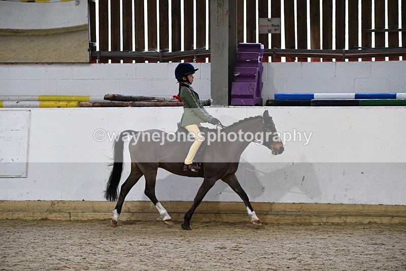 WJ5_7161 - Class 11 Ridden PC - RC Pony