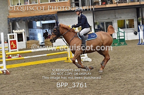 BPP_3761 - FRI CLASS 21 BR NOVICE/90CM